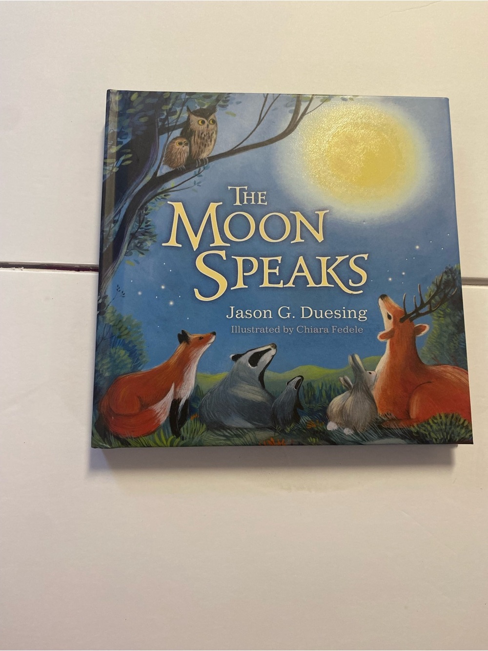 The Moon Speaks - Blue Illustrated Kids Book by